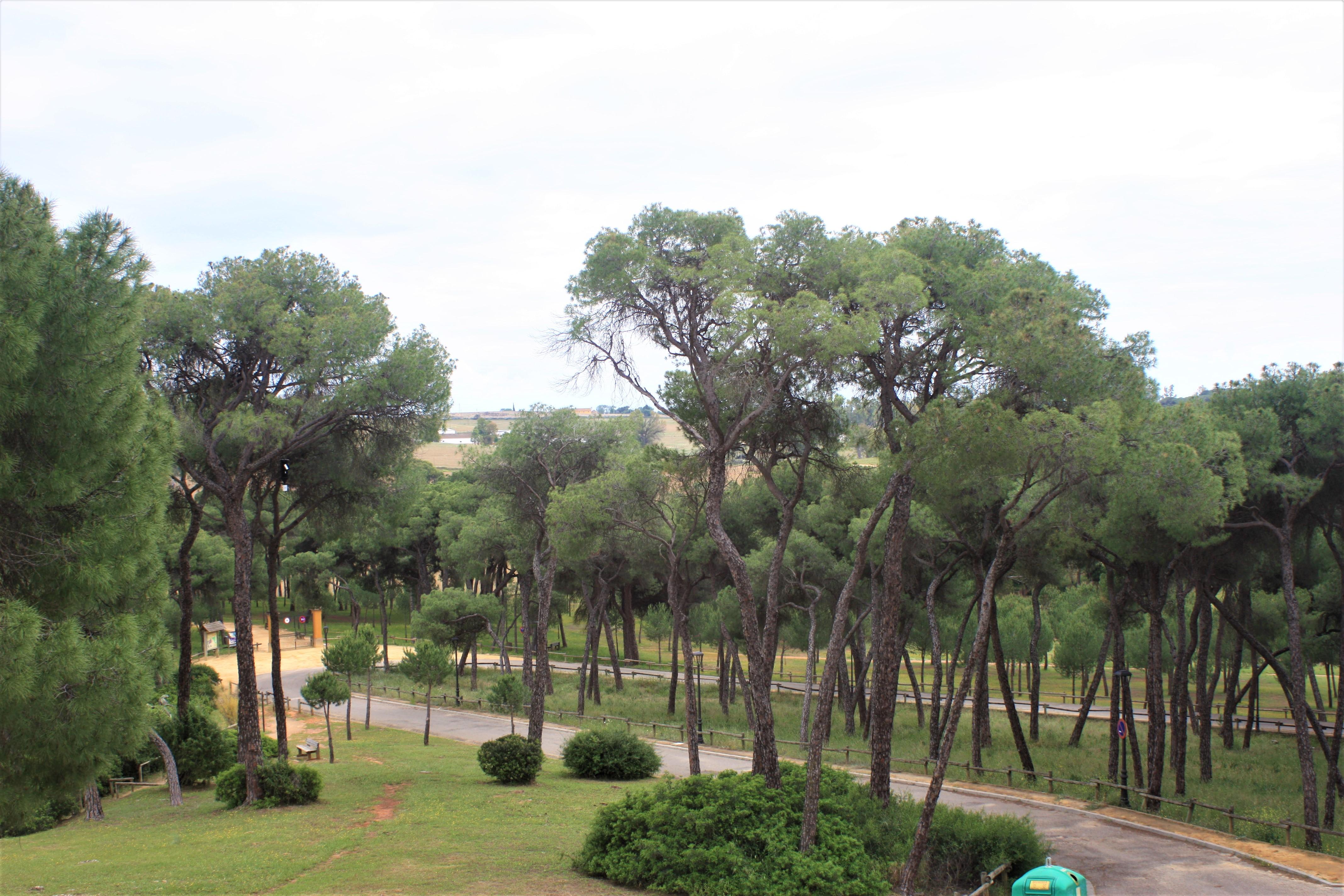 Hotel Oromana Alcala de Guadaira Bagian luar foto