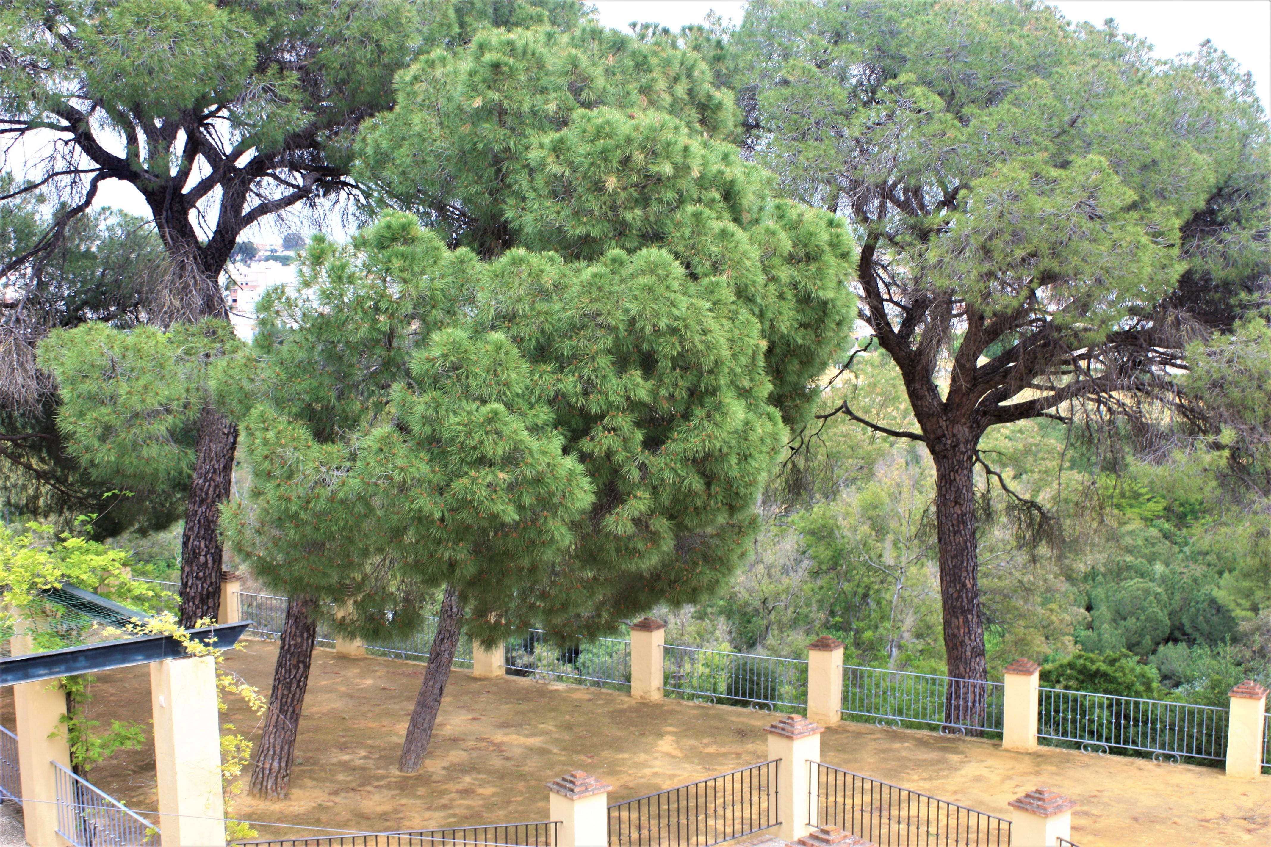 Hotel Oromana Alcala de Guadaira Bagian luar foto