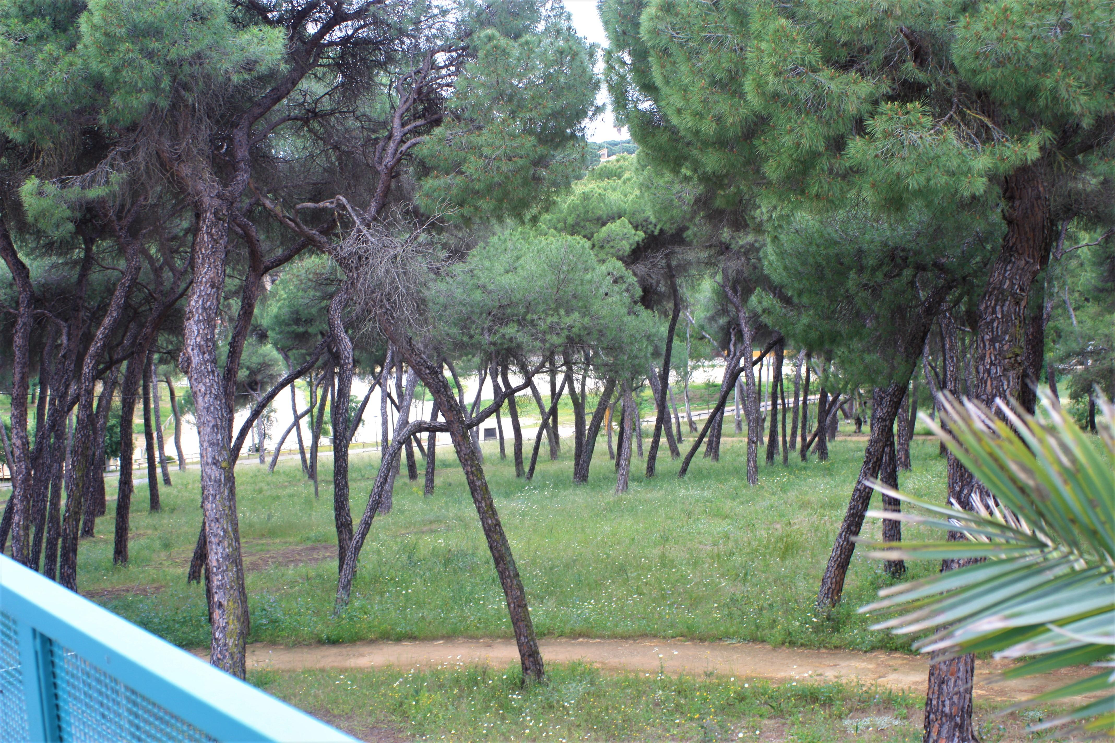 Hotel Oromana Alcala de Guadaira Bagian luar foto